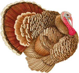 Turkey Die Cut Paper Placemats