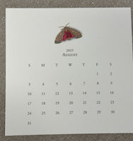 Karen Adams 2025 Desk Calendar Refill
