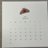 Karen Adams 2025 Desk Calendar Refill