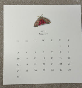 Karen Adams 2025 Desk Calendar Refill