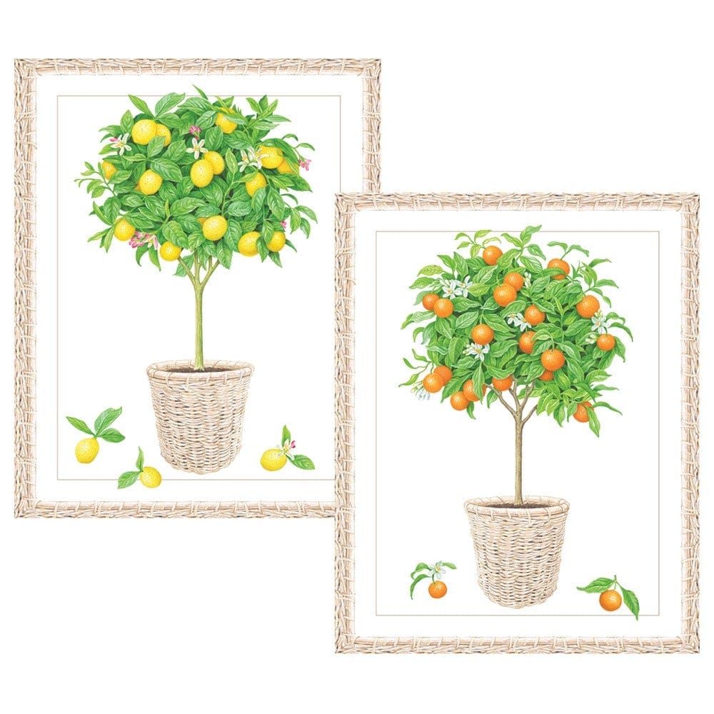 Citrus Topiaries Folded Notes