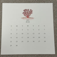 Karen Adams 2025 Desk Calendar Refill
