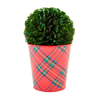 Boxwood Tartan Cachepot
