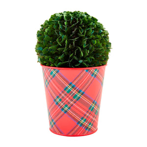 Boxwood Tartan Cachepot