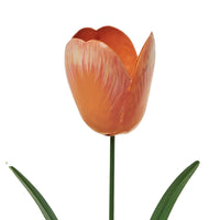 Tulip Candle Holders
