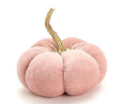 Autumn Blush Pumpkins