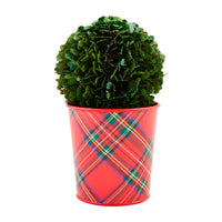 Boxwood Tartan Cachepot
