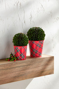 Boxwood Tartan Cachepot