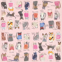 Paper Cocktail Napkins Pack of 20 Cool Cats