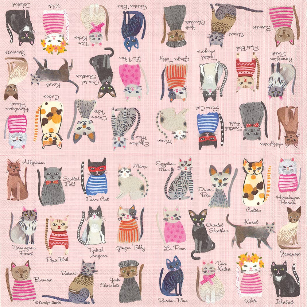 Paper Cocktail Napkins Pack of 20 Cool Cats