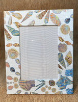 Mini Shells Linen Frame
